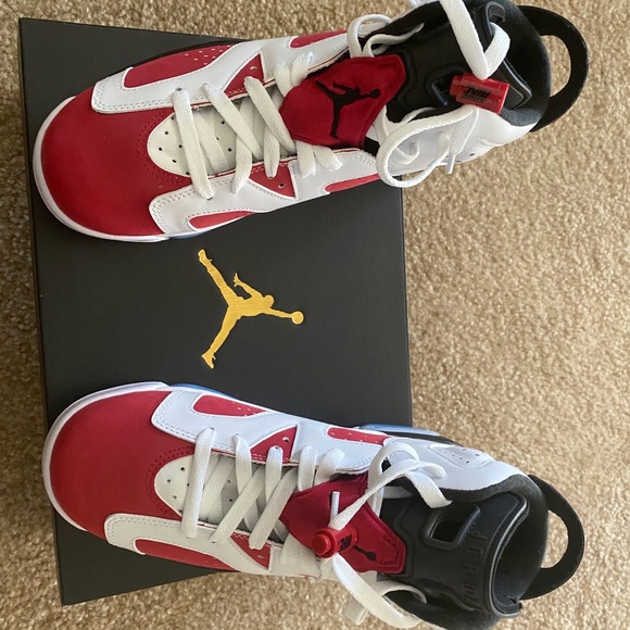 Jordan Other - Jordan Carmine 6’s Big Boy size 7